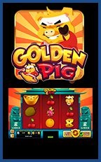 Golden Pig